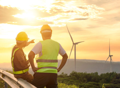 Two engineers overlooking wind turbines